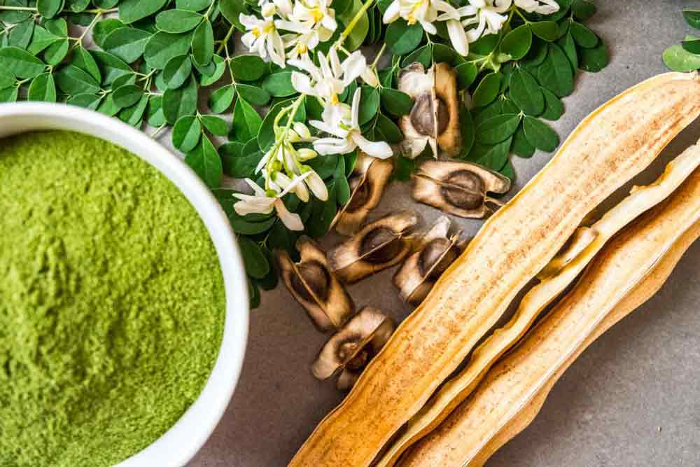 Propiedades de la Moringa | Superalimentos Mexico