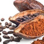 cacao superfoods mexico | superalimentos | biohacking en Mexico y Latinoamerica