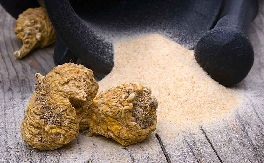 Beneficios de la Maca | Biohacks Lationoamerica